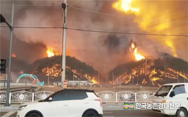산림청 중앙산불방지 대책본부는 3월 5일 새벽 5시 기준 전국에서 6건의 야간산불이 강한 바람을 타고 확산중이라고 밝혔다. <사진= 산림청 kenews.co.kr>