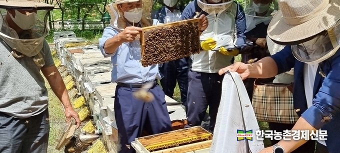 사진은 한국양봉협회(회장 윤화현)와 농진청 양봉전문가들이 현장 작황조사를 하고 있는 자료사진이다. 나남길 kenews.co.kr
