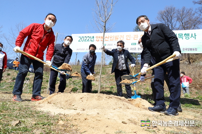 7일 충북 괴산 꿀벌랜드에서 민관합동 밀원수 식목행사가 열린 가운데, 박병홍 농촌진흥청장을 비롯한 참석자들이 나무를 심고 있다. kenews.co.kr