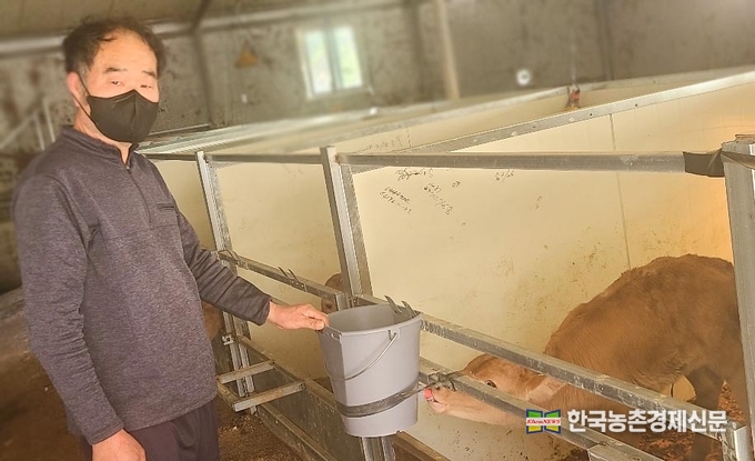 경남 고성 강보권 농가는 “기존에는 별도의 대용유를 사용하지 않고 어미소와 함께 사육하니 송아지 설사관리도 안되고 그로 인한 폐사가 가장 큰 걱정거리였다. 하지만 ‘진심 초유 및 대용유’를 사용하면서 어미초유도 먹이지 않고 바로 송아지 별도 사육이 가능해졌다”며, “개별개체관리가 용이해지니 송아지 폐사도 없어지고 사료도 더 잘 먹고 잘 자란다”고 말했다. kenews.co.kr