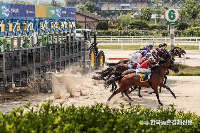 한국마사회 이번 채용 규모는 사무직15명(일반행정, 재경, 법무)과 기술직25명(시설, 전산, 축산, 수의, 방송, 승마, 축산지원, 지사지원)이다. 올해는 특히 지사 현장직무인 ‘지사지원직’이 6급으로 신설되었다. 전체 채용 절차는 ‘원서 접수’, ‘필기시험’(직업기초능력 평가, 직무지식평가), ‘1차 면접’(인성검사 및 직무역량면접), ‘2차 면접’(최종심층면접) 순으로 진행되며 오는 9월 중 최종합격자가 발표된다. kenews.co.kr