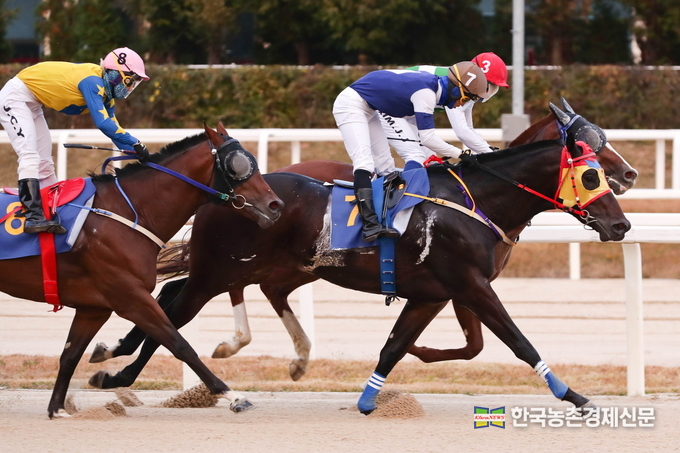 지난 6월 10일 한국마사회 제주경마장 제2경주에서는 출전 예정이었던 A말 대신 애초 출전명단에 없었던 B말이 잘못 출전하는 일이 발생했다. 한국마사회는 해당 경기가 끝난 뒤 하루가 지난 11일이 되어서야 고객 제보를 통해 뒤늦게 인지하였다. 사진은 기사와관련이 없는 정상적인 경주마들의 경마모습 자료사진이다. kenews.co.kr