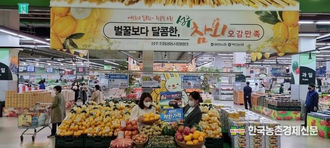 농림축산식품부(장관 정황근)는 올해 추석 과일 선물꾸러미 준비 상황 점검을 위한 대형마트 관계자 간담회 결과, 사과·배 선물꾸러미는 전년에 비해 소폭 감소하고 최근 소비자들로부터 주목을 받는 샤인머스캣 등이 포함된 혼합꾸러미가 증가할 전망이라고 밝혔다. 사진은 하나로마트 매장모습이다. kenews.co.kr