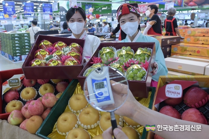 28일(일) 서울시 서초구에 위치한 하나로마트 양재점에서 모델들이 추석을 맞이하여 살 맛나는 가격으로 판매하는 과일 선물세트의 당도를 직접 측정하여 선보이고 있다. kenews.co.kr