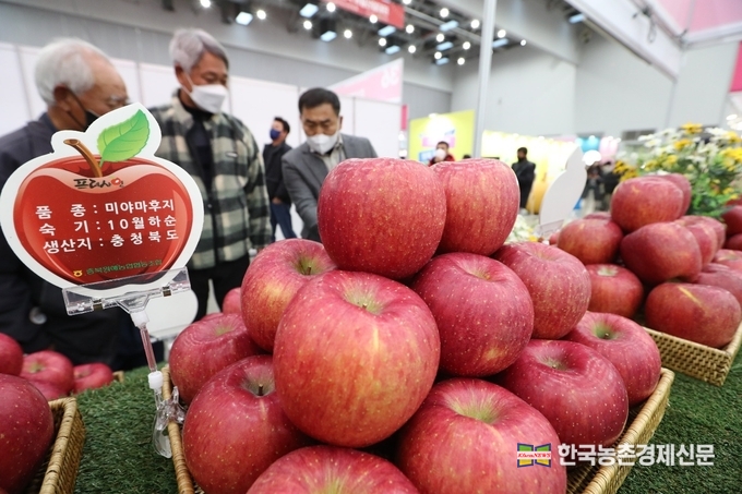 2022년 대한민국 과일산업대전에 전시 중인 과일. kenews.co.kr