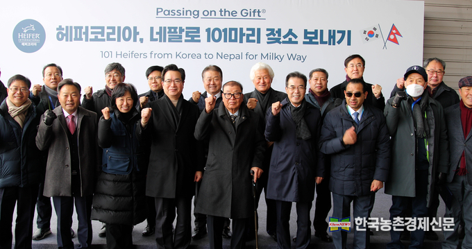 한국 젖소가 절대 도움이 필요한 네팔에 원조 지원을 한다. 이를 위해 농림축산식품부와 농협중앙회, 서울우유협동조합, 민간 국제개발단체 헤퍼코리아가 손을 잡고 우리 한국 젖소 101마리를 네팔에 보내는 환송 기념행사를 인천공항 화물터미널에서 가졌다.<영상/사진= 농림축산식품부 kenes.co.kr>