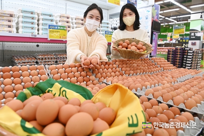 겨울철 AI 등 가축질병 확산이 예상되면서 물가당국의 외국산 계란 수입이 추진되고 있다. 그러나 농협은 원칙적으로 국내산 농축산물만을 판매한다. 사진은 농협유통(대표 신영호) 판매장에서 국내산 계란 소비홍보를 위해 모델들이 국내산 계란을 홍보하고 있는 모습.<사진= 농협유통 kenews.co.kr>
