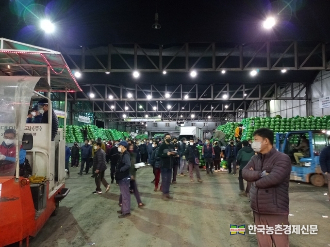 가락시장 내 대아청과 배추 야간경매장 차상거래 모습의 자료사진이다. kenews.co.kr 