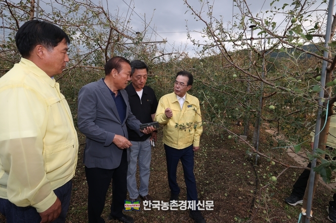 이성희 농협중앙회장(맨 오른쪽)은 13일 충북 충주시 소재 우박피해농가를 방문해 피해상황을 점검하고 있다. kenews.co.kr