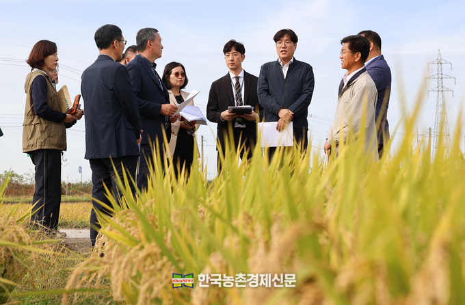 조재호 농촌진흥청장이 6일 전북 김제시 공덕농협 생산단지에서 가루쌀과 일반벼의 생육상황을 점검하고 있다.<사진=농촌진흥청 kenews.co.kr>