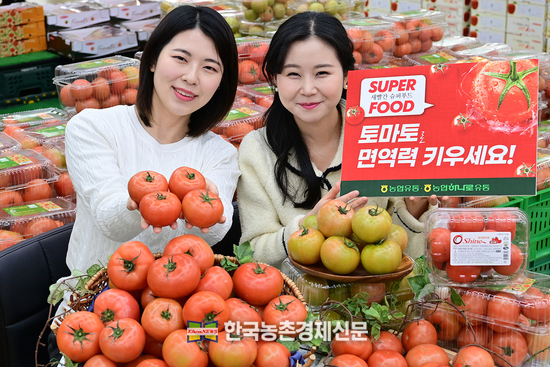 1월 16일 서울 서초구 하나로마트 양재점에서 모델들이 겨울철 면역력 강화에 좋은 토마토를 선보이고 있다. <사진= 농협유통 kenews.co.kr>