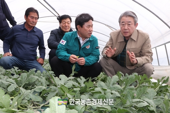 강호동 농협중앙회장은 22일 충남 부여군 수박농가를 방문해 농작물 피해상황을 살피고 농업인을 위로했다. kenews.co.kr