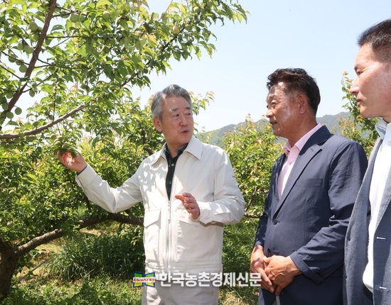 강호동 농협중앙회장(왼쪽)이 3일 경남 하동군 매실농가에 방문하여 생육상황을 점검하고 있다. kenews.co.kr