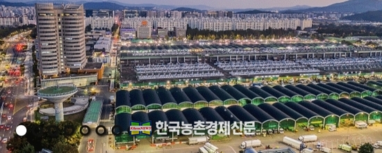 한국청과를 비롯한 가락시장 모습이다. kenews.co.kr