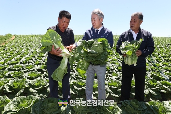 강호동 농협중앙회장(사진 가운데)이 7월 31일 강원 평창군 소재 배추 농가를 방문하여 생육 동향을 점검하고 농가 애로사항을 청취했다. kenews.co.kr