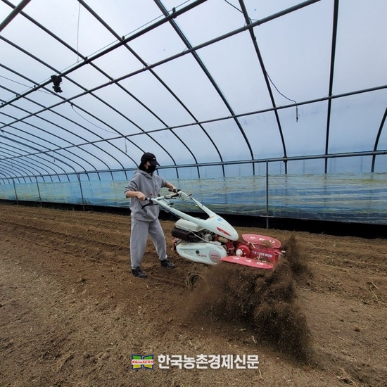 <strong>민혜원 청년농업인이 경남 고성에서 '겨울부추' 농사로 뿌리를 내려 농작업에 열중하고 있다. kenews.co.kr</strong>