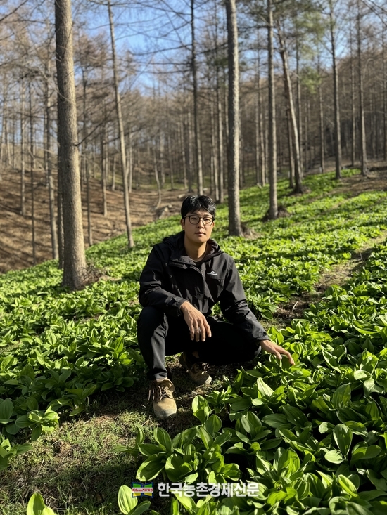<strong>'청년취업농장학생' 강문수 청년농업인이 산림에서 '토종배와 산마늘' 농사로 터를 잡았다. kenews.co.kr</strong>