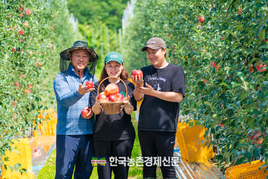 경북 포항시 태산농원 서상욱 대표가 출품한‘ 사과 '후지'가 大賞 수상자로 최종 선정됐다.<사진= 한국과수농협연합회 kenews.co.kr> 