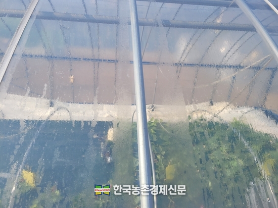 국산 PO필름 물 흘러내림. kenews.co.kr 