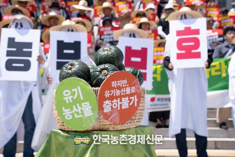 친환경인증이 취소돼 유기 출하가 불가능한 유기농 재배 단호박. kenews.co.kr