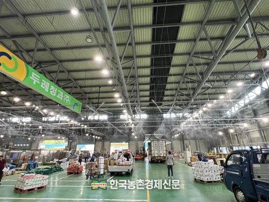 두레청과는 농산물유통업에 대한 전문성을 높여 나가기 위해 모든 임직원이 경매사자격증을 취득해 화제가 되고 있다. 사진은 두레청과 경매장 모습이다. <사진= 두레청과 김문재 kenews.co.kr>