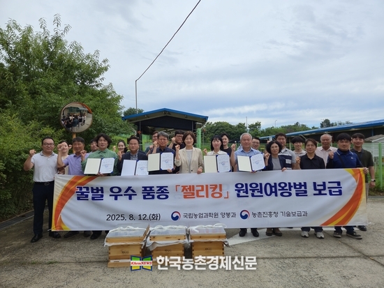 농촌진흥청 국립농업과학원은 12일 지자체 꿀벌자원육성지원센터 5개소에 고품질 로열젤리 생산 꿀벌품종 '젤리킹'의 원원여왕벌을 공급했다.<사진=농촌진흥청 kenews.co.kr>