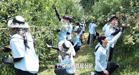 지난 20일 농협상호금융은 NH콕서포터즈 대학생들과 함께 경기도 포천시 소재 농가를 방문하여 일손돕기를 실시했다. <사진= 농협상호금융 kenews.co.kr>