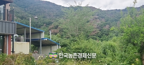 산불과 산사태 , 산림병해충 등 산림예산 확충도 절실한 상황이다.<br>
8월 현재 경남 밀양 중심 시내를 빙 둘러싸고 있는 동서남북 사방에 걸쳐, 소나무 재선충병 감염이 손을 쓰지 못할 정도로 극심한 상황에 처해 있다. 밀양지역은 한마디로 소나무재선충병 비상사태인 것처럼 심각하다. <밀양= 나남길 kenews.co.kr> 