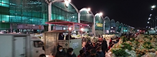 배추 수급불안이 해소되지 못하고 있다. 사진은 가락시장 무 배추 야간 경매장 자료사진 모습이다. kenews.co.kr