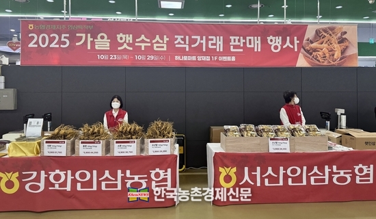 농협경제지주가 23일 인삼의 날 행사에 이어 오는 29일까지 농협하나로마트 양재점에서 햇수삼 특판 행사를 실시하고 있다. kenews.co.kr
