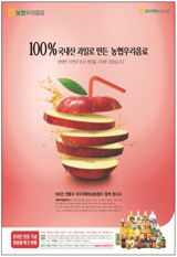 배너