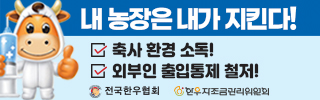 배너