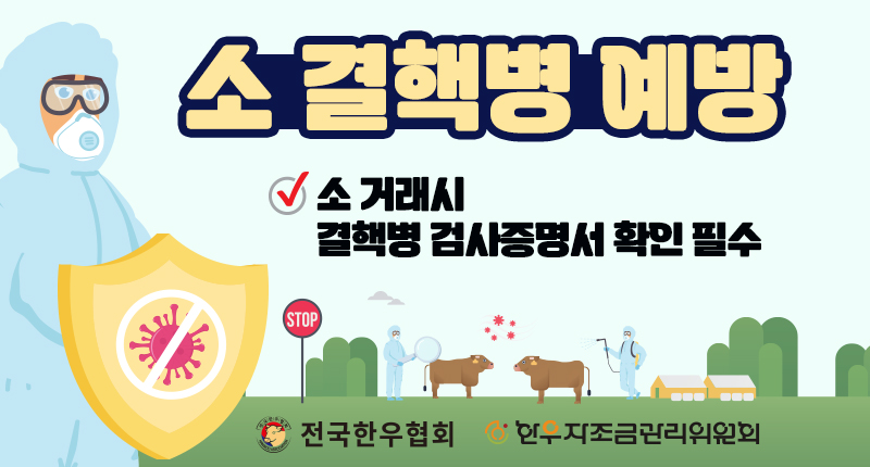 배너