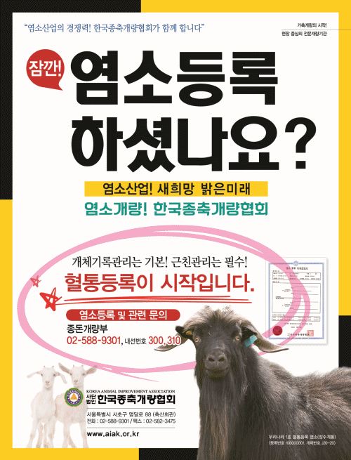 배너