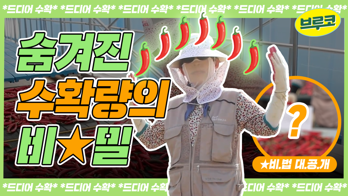 배너