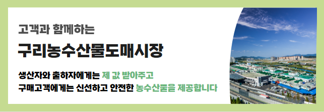 배너