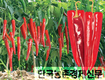 PR스마트고추!