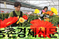 ‘거베라’ 새품종 첫 선  