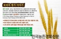 '보리라면' 기획시리즈③-‘보리라면’ 출시...소비자들 반응?
