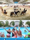 농협 안성팜랜드, 여름방학 ‘승마·수영교실’ 운영