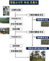 국립산림과학원, 명품소나무 2세 생산 성공