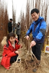 전국 ‘나무시장’ 오픈…매년 5그루씩 심어야