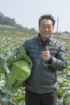 양배추 종자시장 전쟁… 일본씨앗 물럿거라!