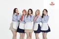 농협목우촌, 또래오래치킨 모델로 ‘레드벨벳’ 발탁