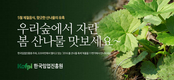 산나물 온라인장터 열렸다!
