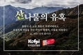 산나물 온라인장터 열렸다!