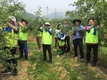 농협 회원경제지원부 임직원, 도농협동 농촌일손돕기