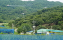 ‘돌발해충’ 피해 최소화…농진청 산림청 손 맞잡아