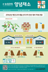 건고추·양파 가격 ‘강보합세’ 마늘은 ‘약세’