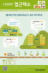 엽근채소류관측, 배추 공급물량 ‘안정세’